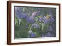 Brown Frame