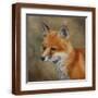 Brown Frame