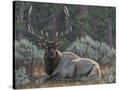 Stretched Canvas