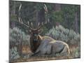 Wood Mount