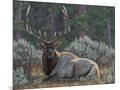 Wood Mount
