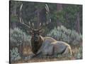 Stretched Canvas