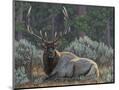 Wood Mount