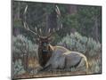 Wood Mount