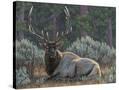 Stretched Canvas