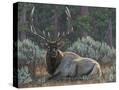 Stretched Canvas