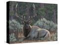 Stretched Canvas