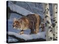 Stretched Canvas