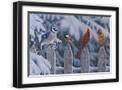 Black Frame