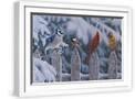 White Frame
