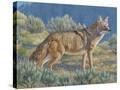 Stretched Canvas