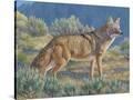 Stretched Canvas