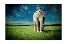 Elephant Carry Me-Jeff Madison-Framed Art Print