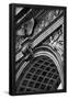 Essential Black