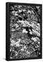 Essential Black