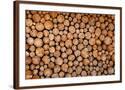 Chelsea Espresso