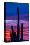 Stretched Canvas