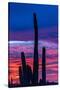 Stretched Canvas