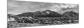 Wood Mount