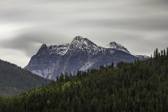 Photo, , large