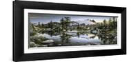 Brown Frame
