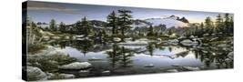 Stretched Canvas