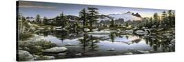 Stretched Canvas