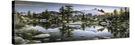 Stretched Canvas