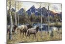 Wood Mount