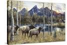 Stretched Canvas