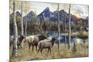 Wood Mount