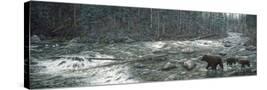 Stretched Canvas
