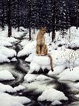 Lone Wolf-Jeff Tift-Giclee Print