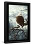 Essential Black