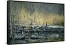 Canvas Black