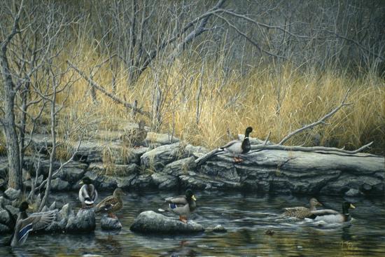 Giclee Print, , large
