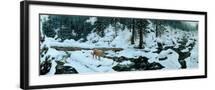 Black Frame