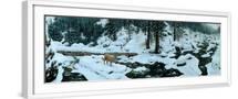 White Frame