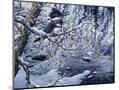 Wood Mount