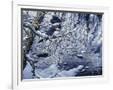 Gramercy White