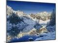 Wood Mount