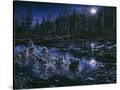 Stretched Canvas