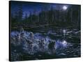 Stretched Canvas