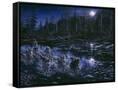 Canvas Black