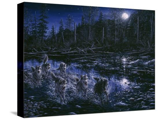 Stretched Canvas Print, , large