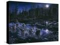 Stretched Canvas