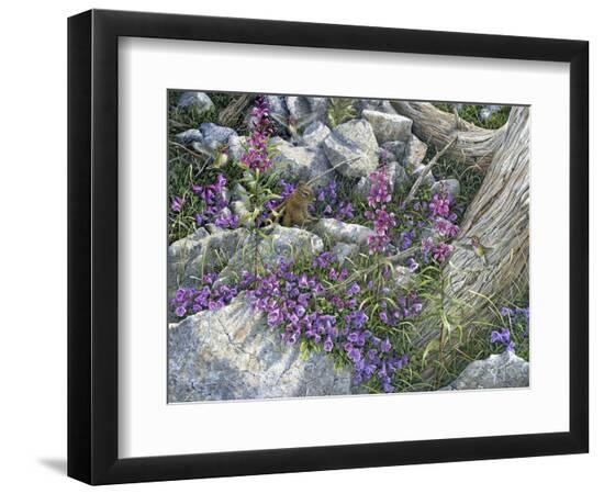 Premium Giclee Print, , large