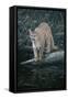Canvas Black