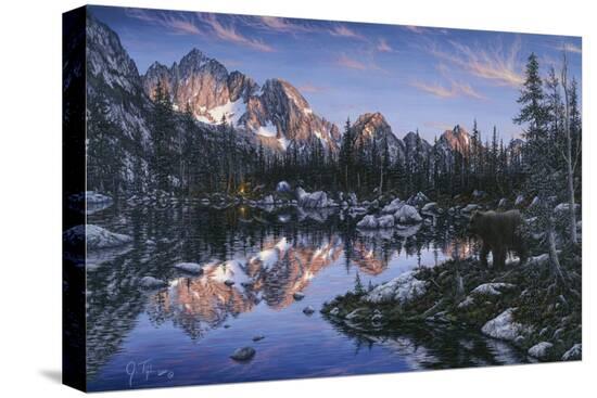 Stretched Canvas Print, , large