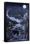 Canvas Black